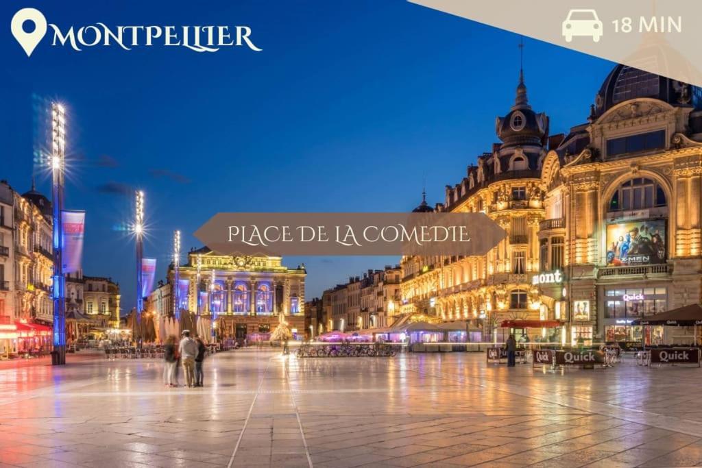 016- T2 Tropisme, Appart 1 Chambre,Clim,Wifi,Parking Montpellier Kültér fotó