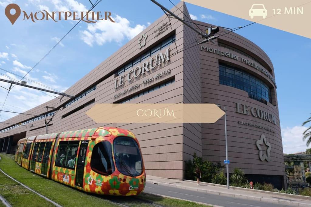 016- T2 Tropisme, Appart 1 Chambre,Clim,Wifi,Parking Montpellier Kültér fotó
