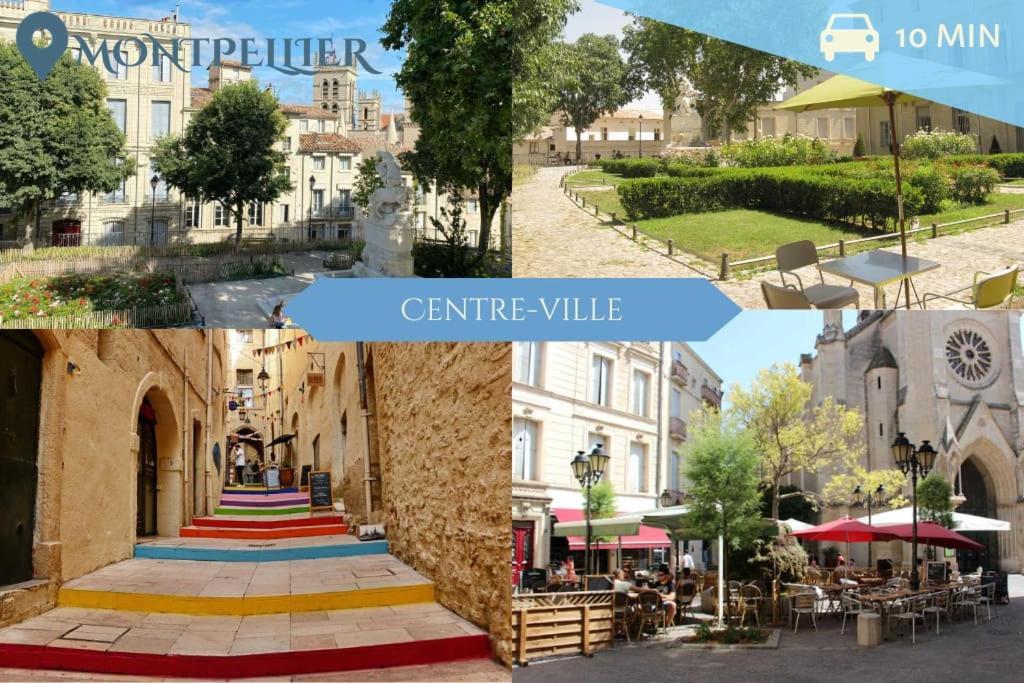 016- T2 Tropisme, Appart 1 Chambre,Clim,Wifi,Parking Montpellier Kültér fotó