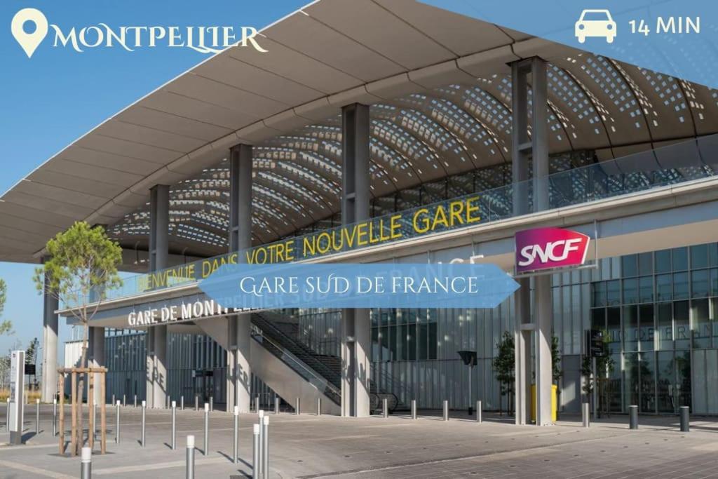 016- T2 Tropisme, Appart 1 Chambre,Clim,Wifi,Parking Montpellier Kültér fotó