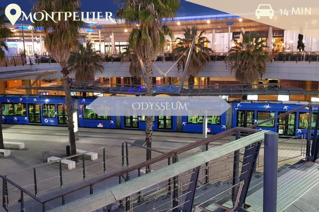 016- T2 Tropisme, Appart 1 Chambre,Clim,Wifi,Parking Montpellier Kültér fotó