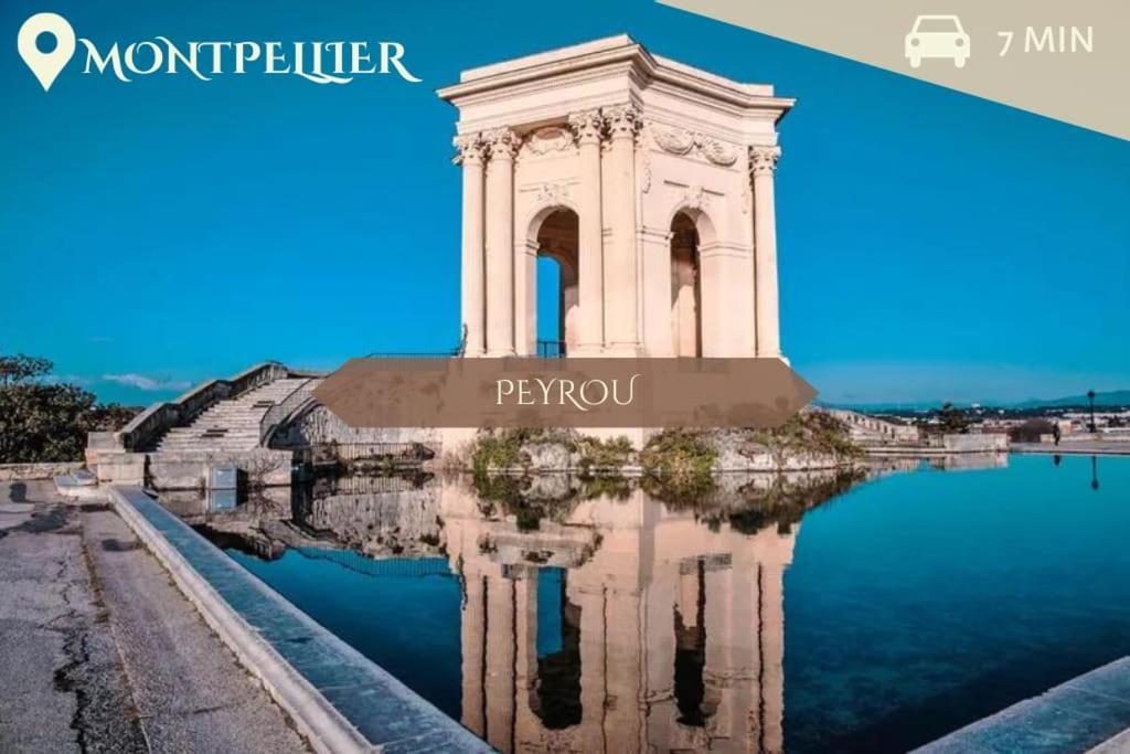 016- T2 Tropisme, Appart 1 Chambre,Clim,Wifi,Parking Montpellier Kültér fotó